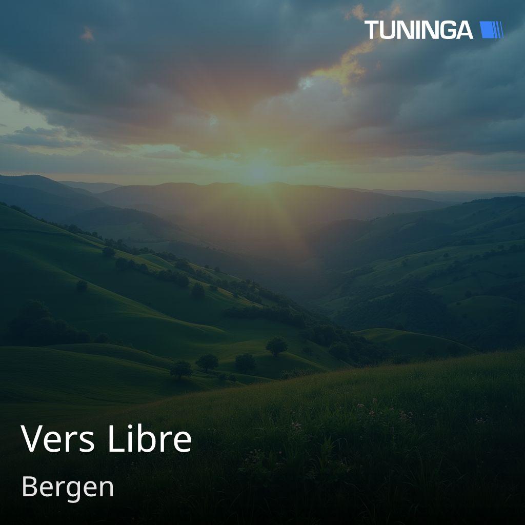 Vers Libre