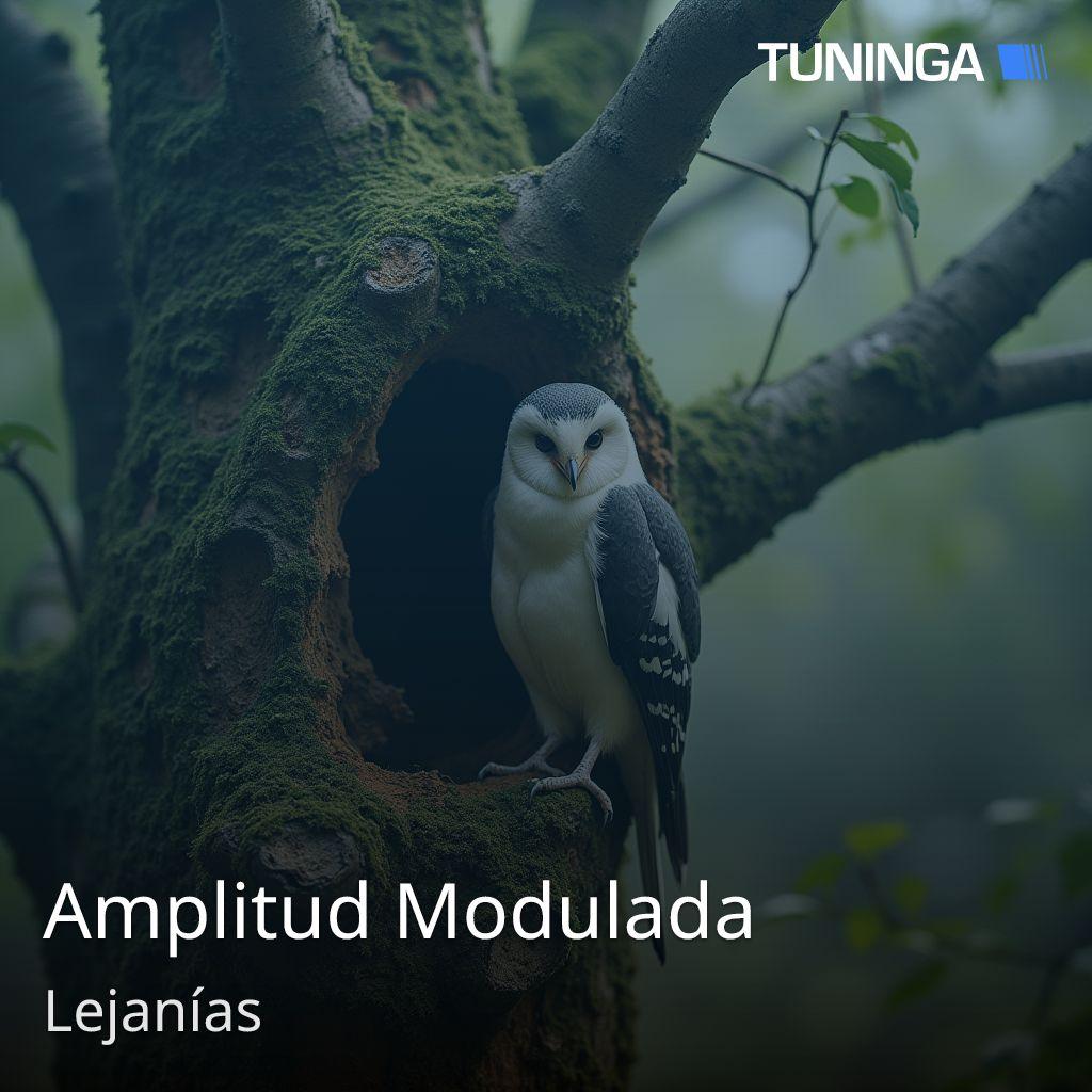 Amplitud Modulada