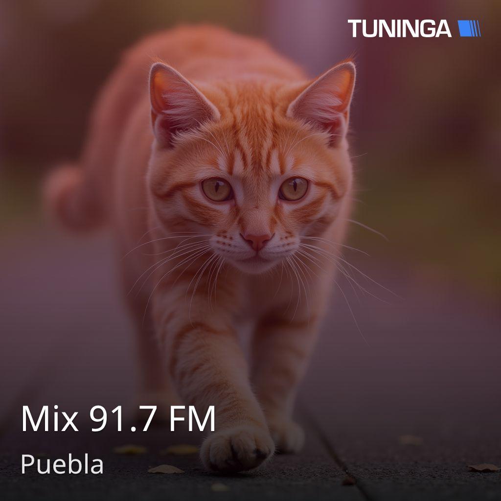 Mix 91.7 FM