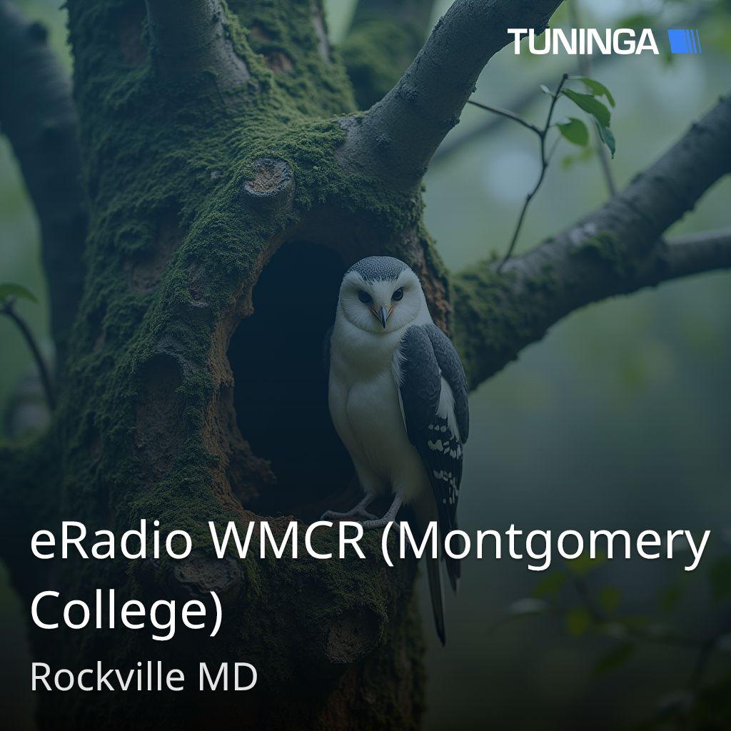 eRadio WMCR (Montgomery College)