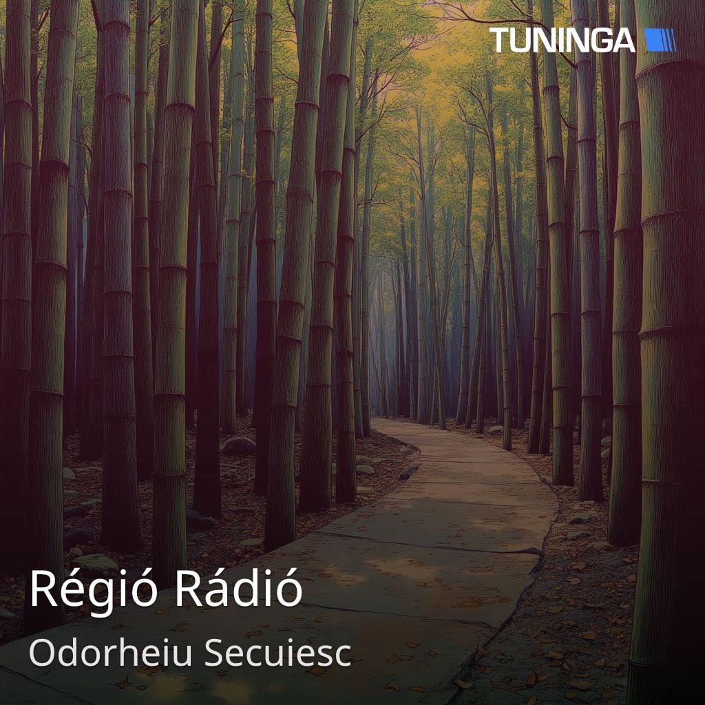 Régió Rádió