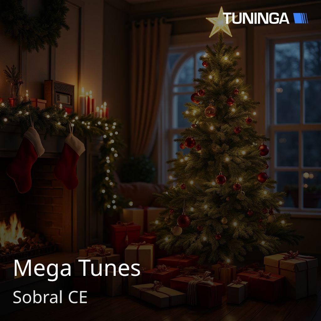 Mega Tunes