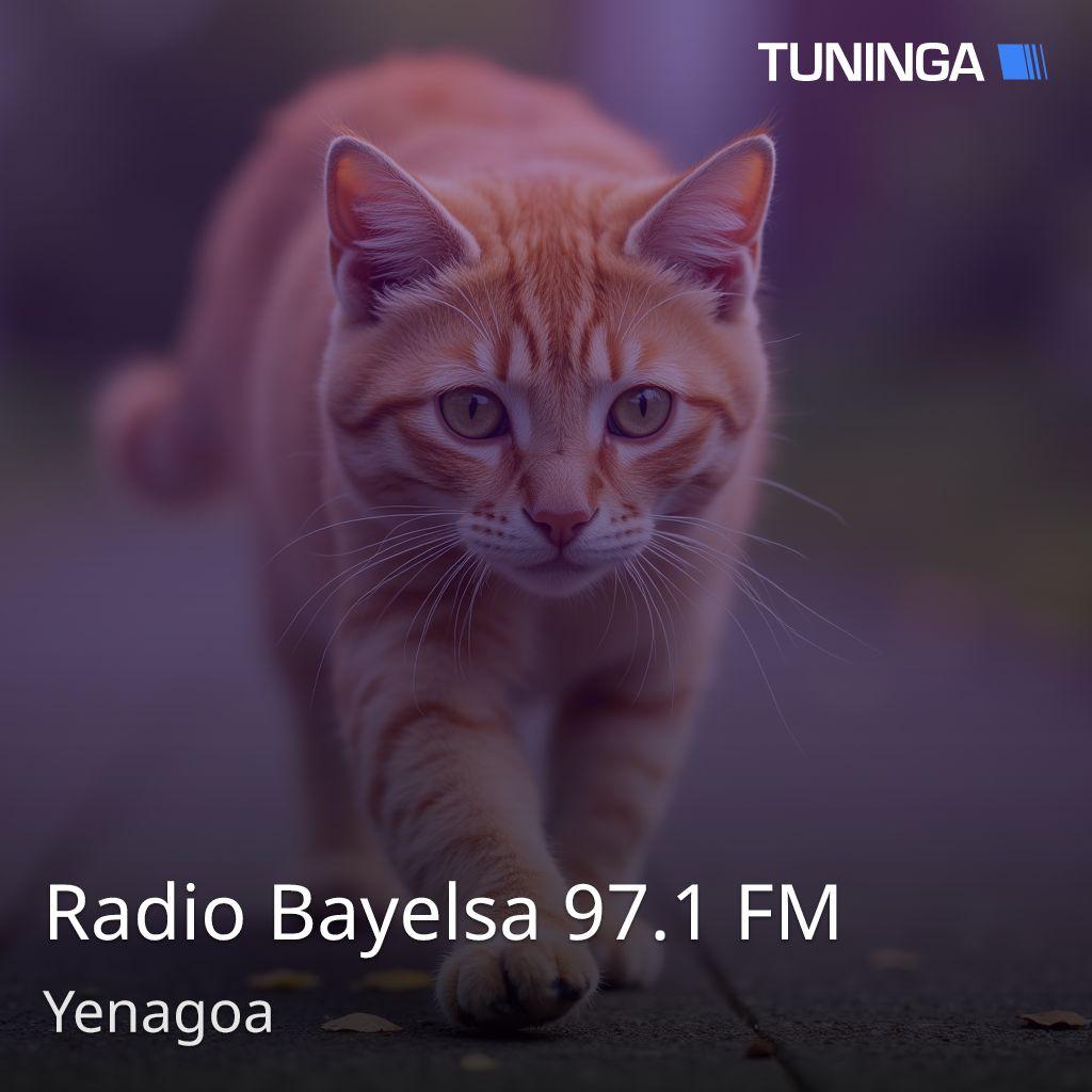 Radio Bayelsa 97.1 FM
