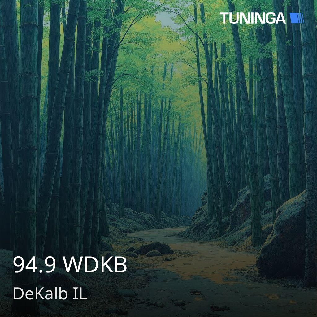 94.9 WDKB