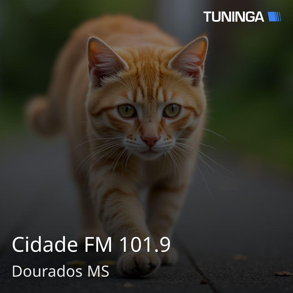 Cidade FM 101.9