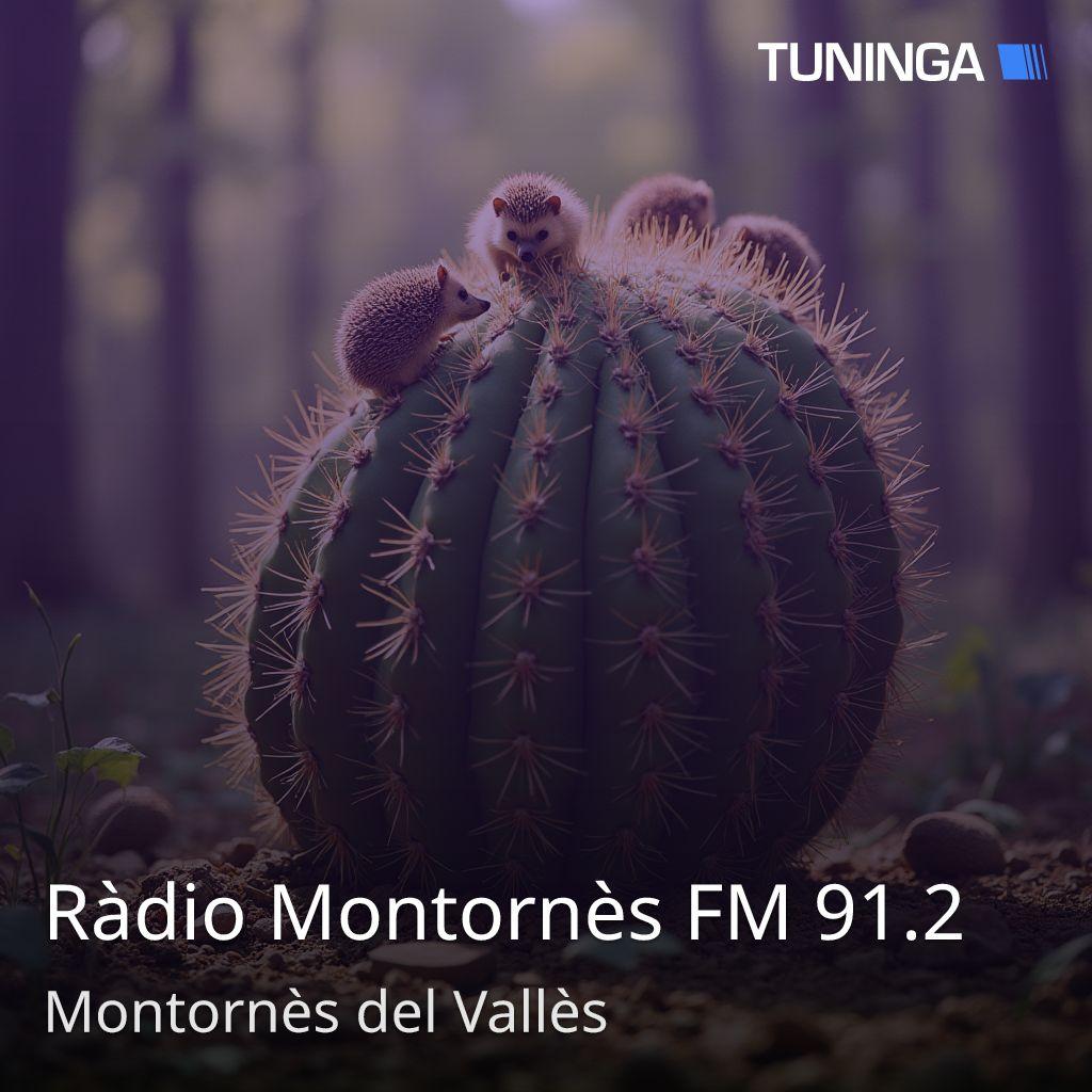 Ràdio Montornès FM 91.2