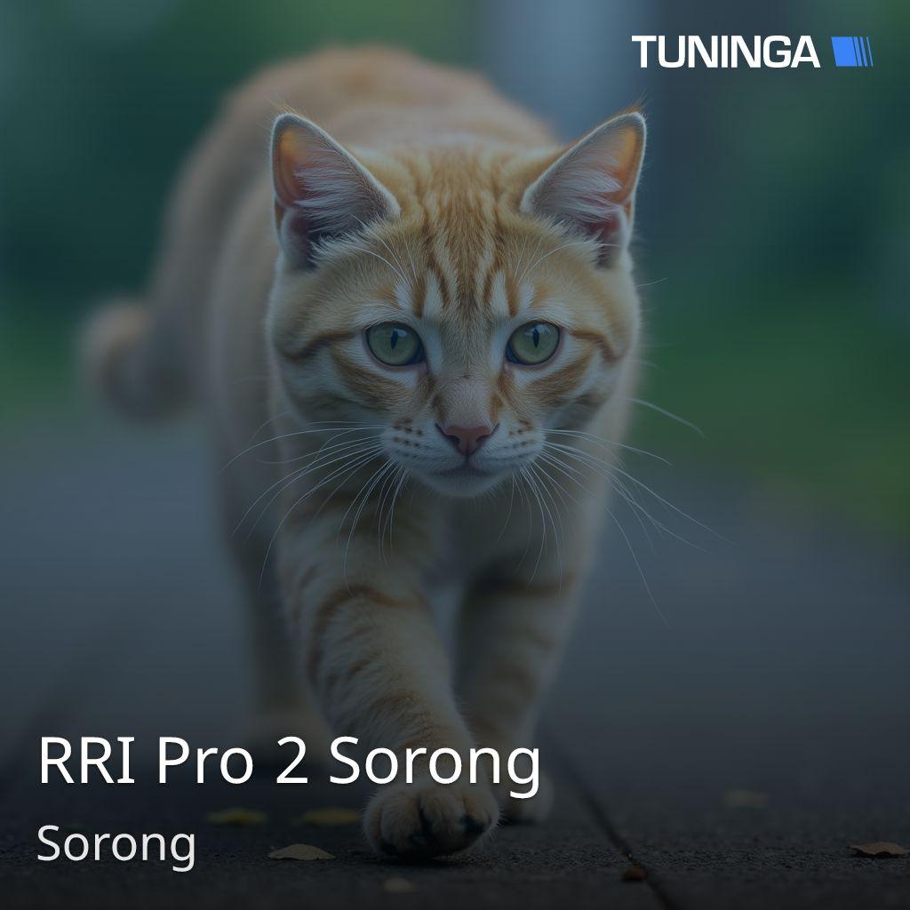 RRI Pro 2 Sorong