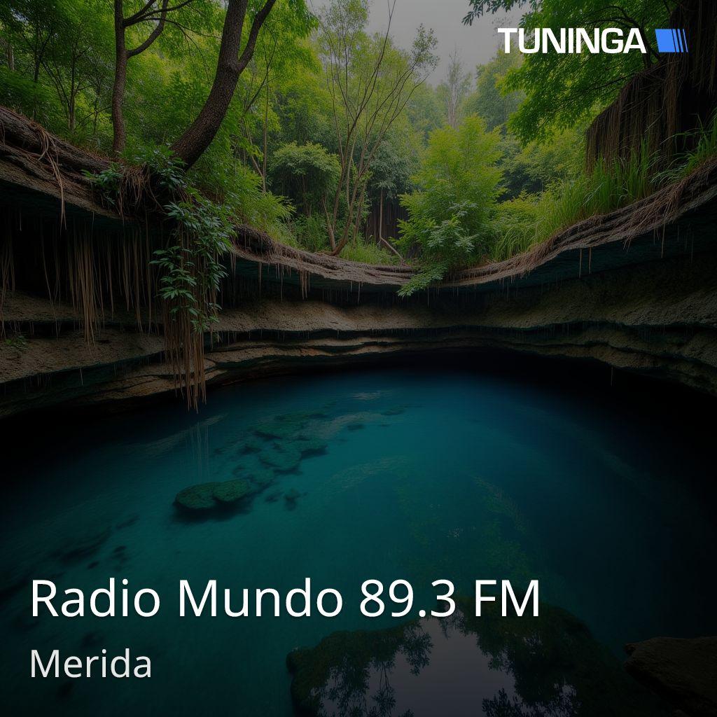 Radio Mundo 89.3 FM