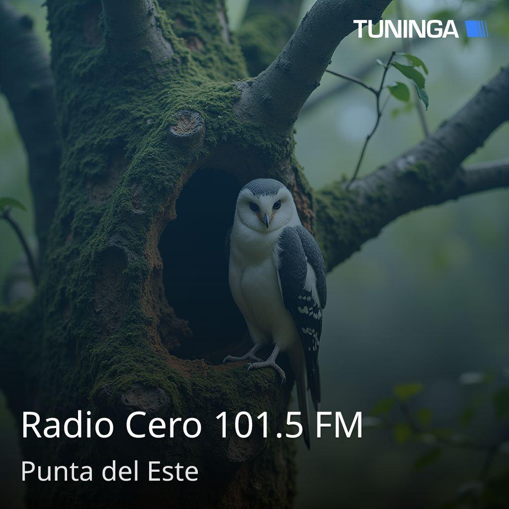 Radio Cero 101.5 FM