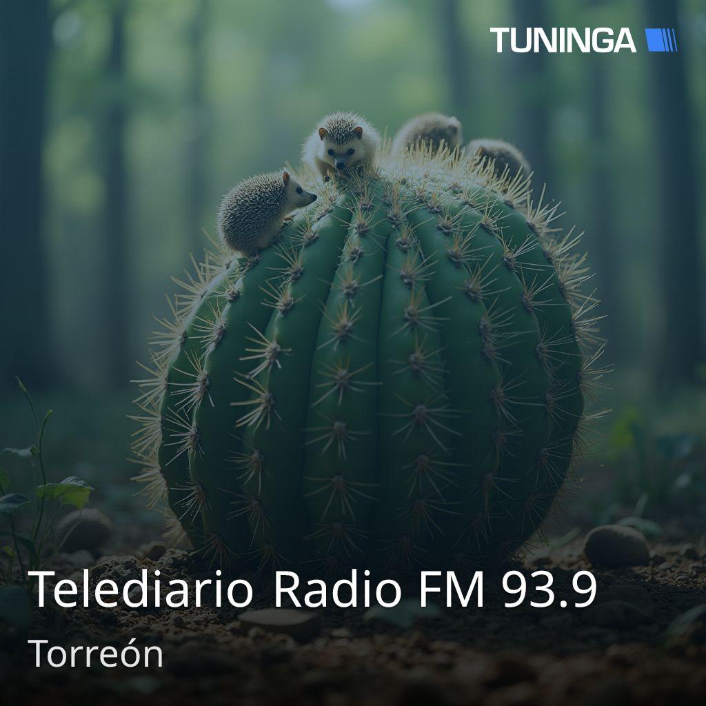 Telediario Radio FM 93.9
