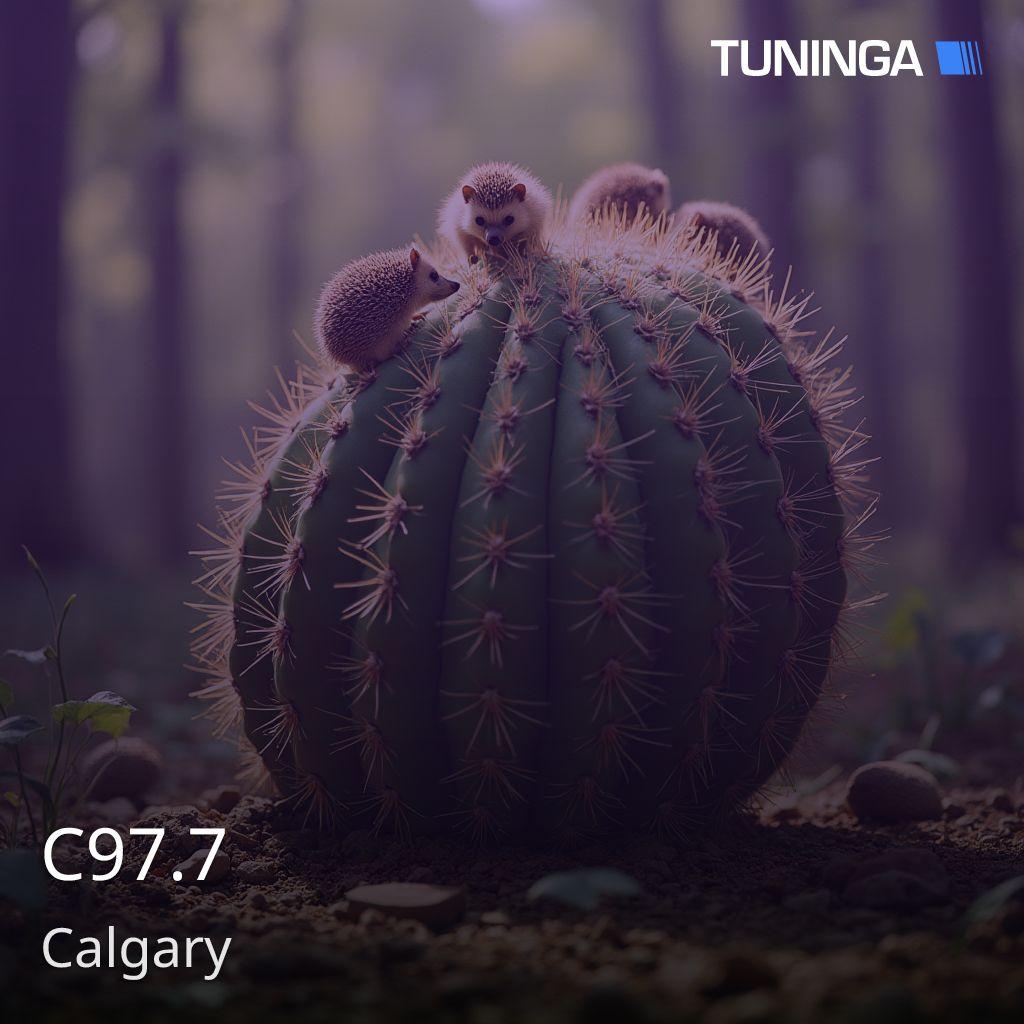 C97.7