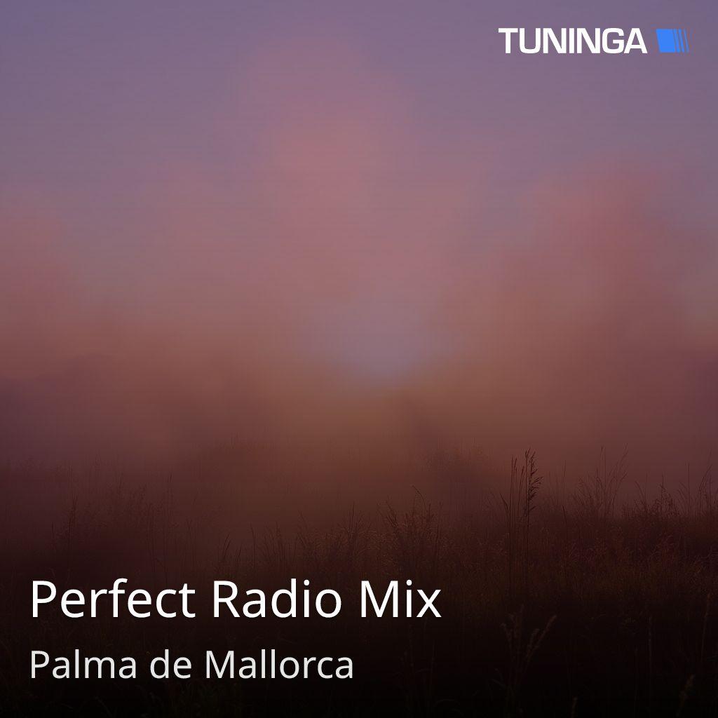 Perfect Radio Mix