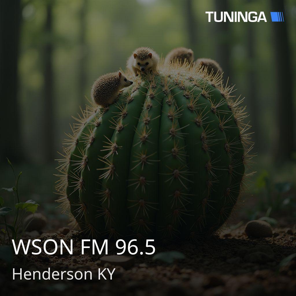 WSON FM 96.5