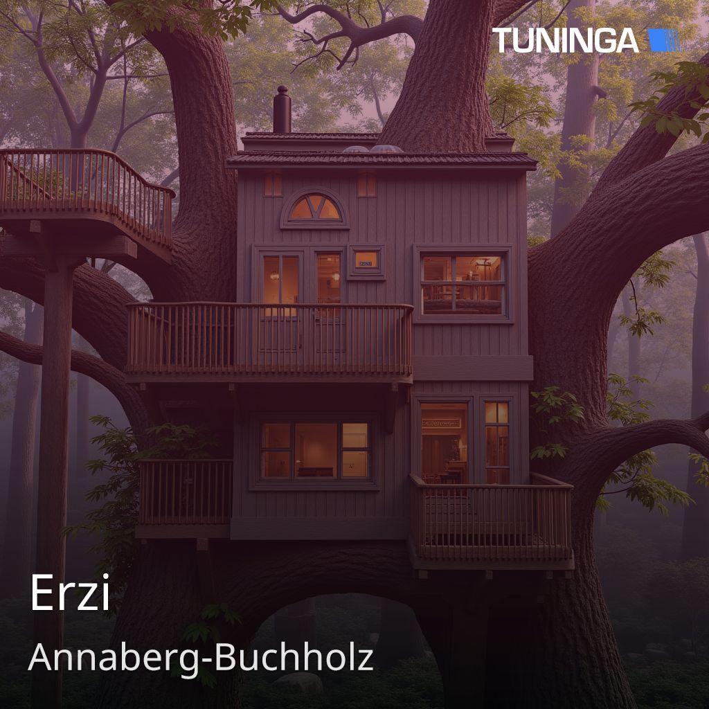 Erzi