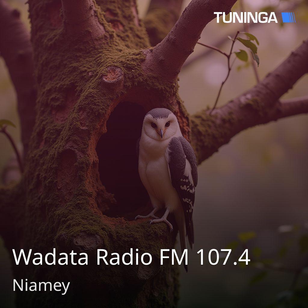 Wadata Radio FM 107.4