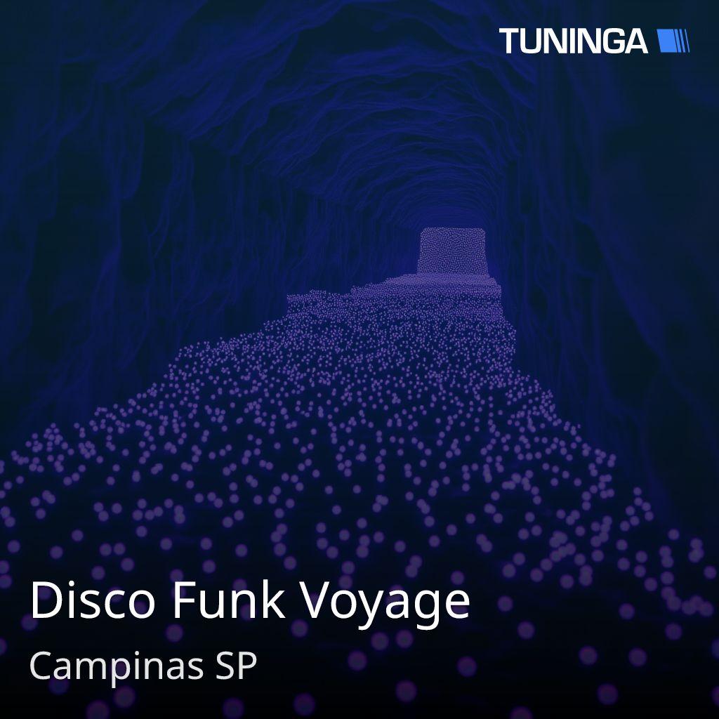 Disco Funk Voyage