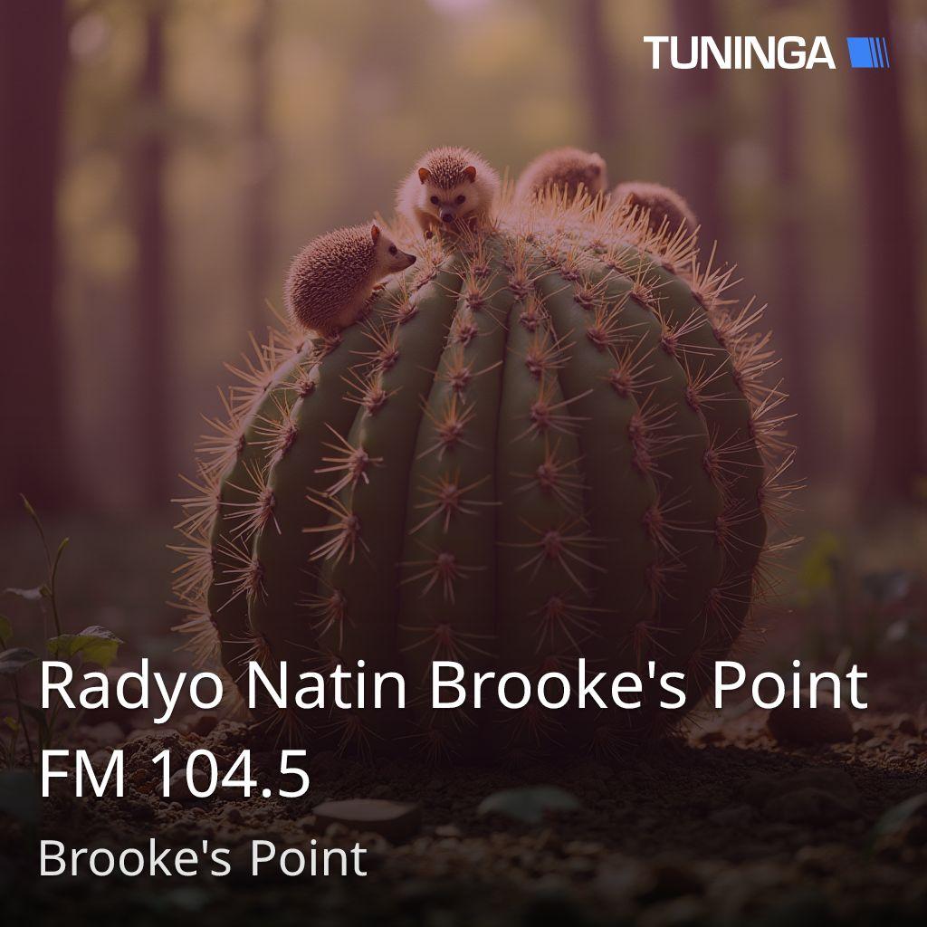 Radyo Natin Brooke's Point FM 104.5