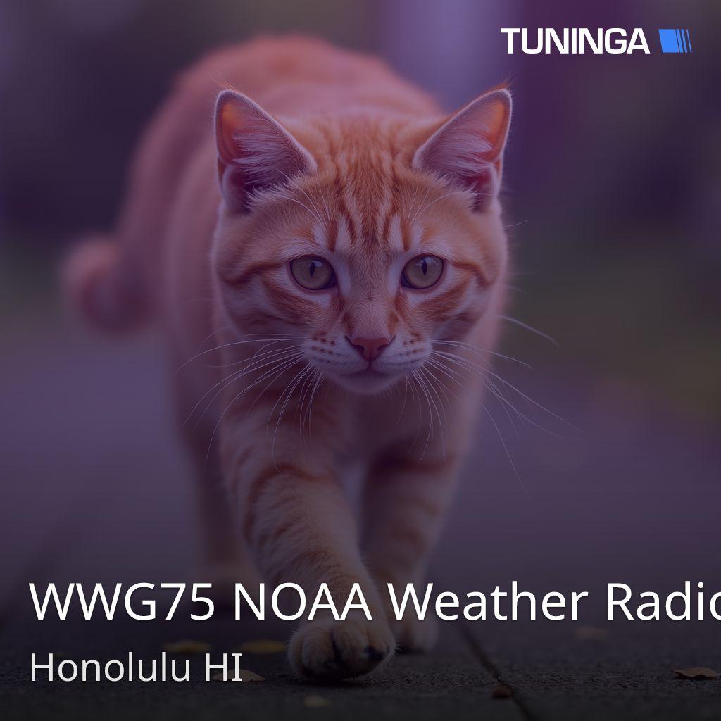 WWG75 NOAA Weather Radio