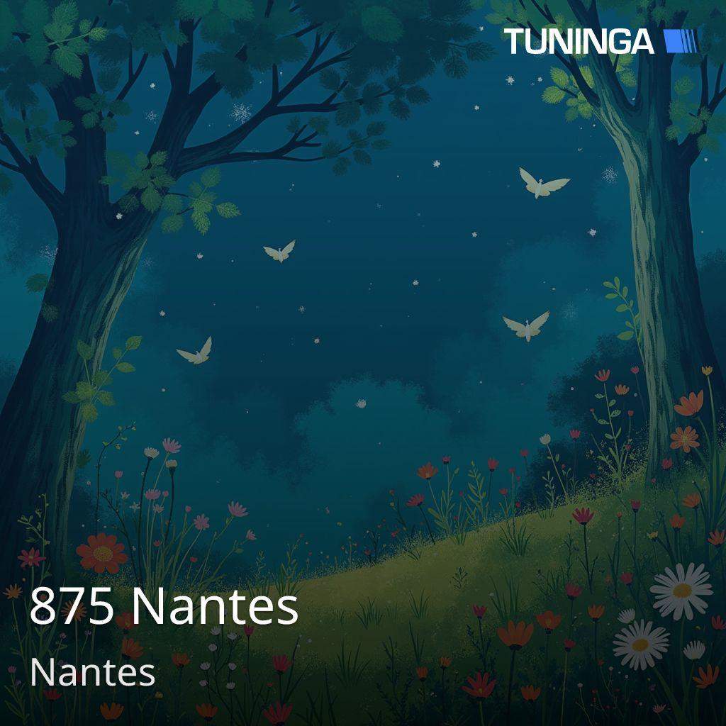 875 Nantes