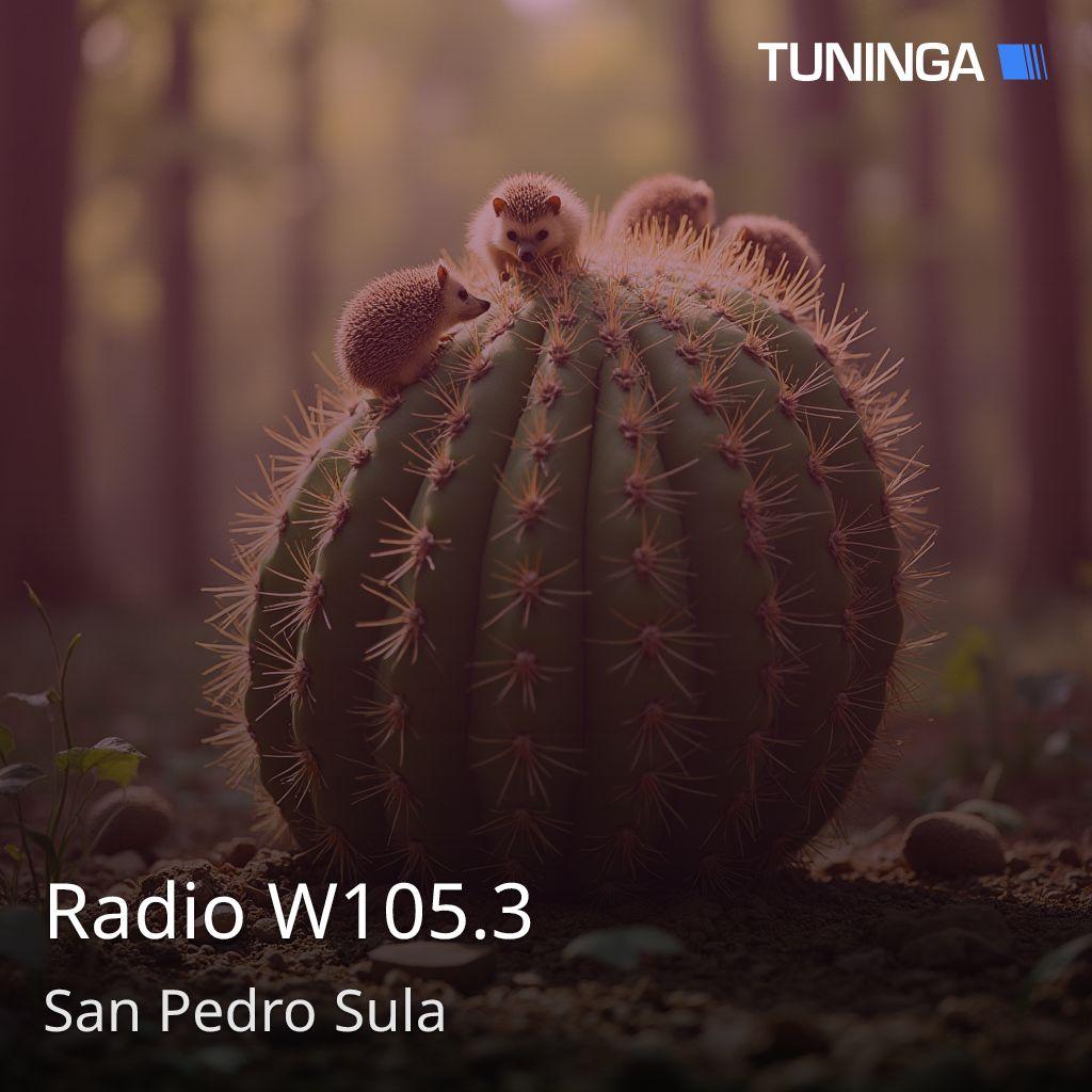 Radio W105.3