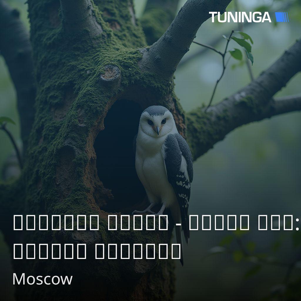 Русское Радио - Нерпа Юма: Сказки Байкала