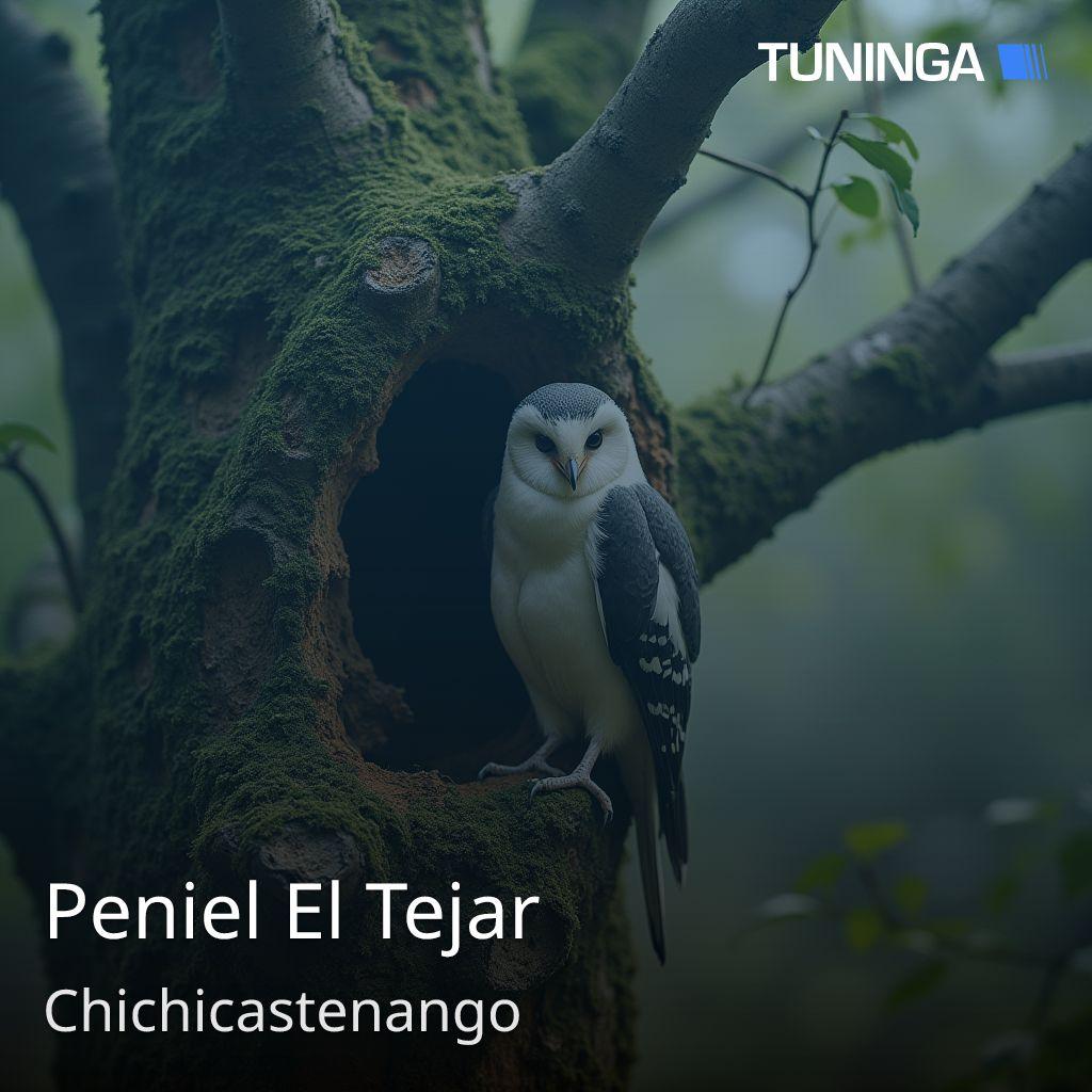 Peniel El Tejar