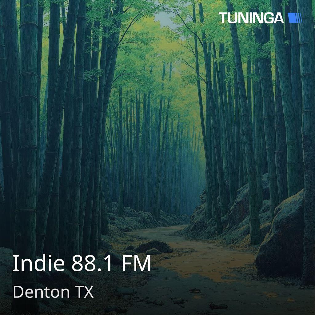 Indie 88.1 FM
