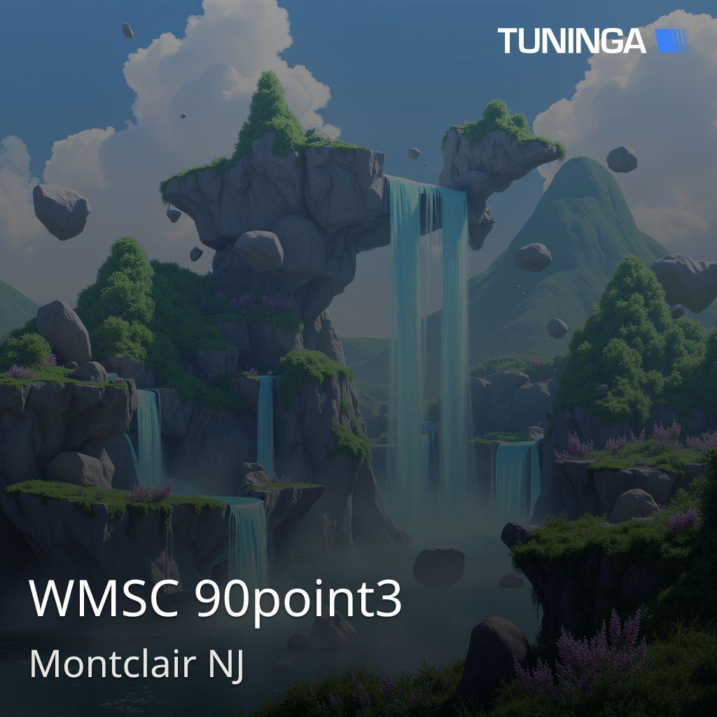 WMSC 90point3