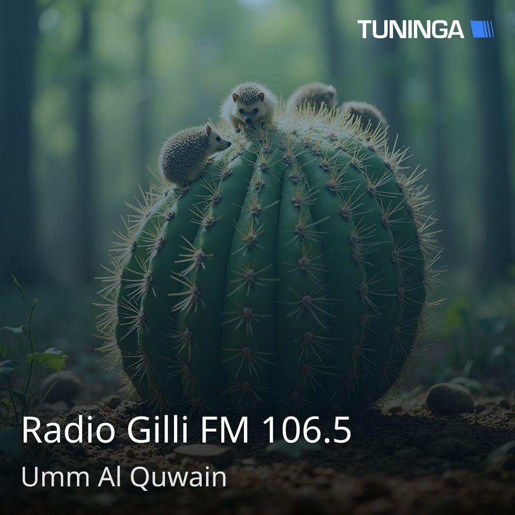 Radio Gilli FM 106.5