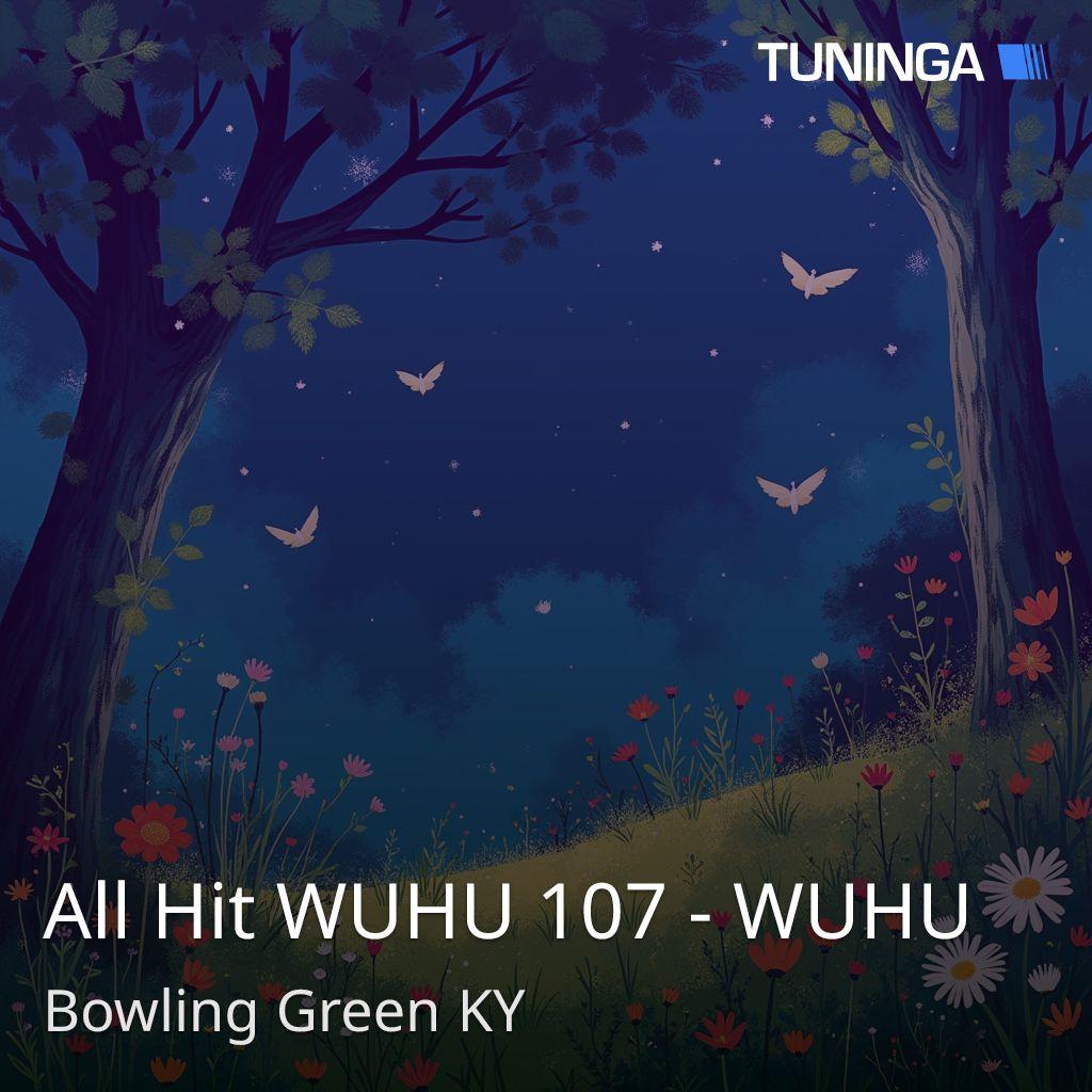 All Hit WUHU 107 - WUHU