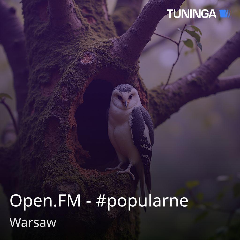 Open.FM - #popularne