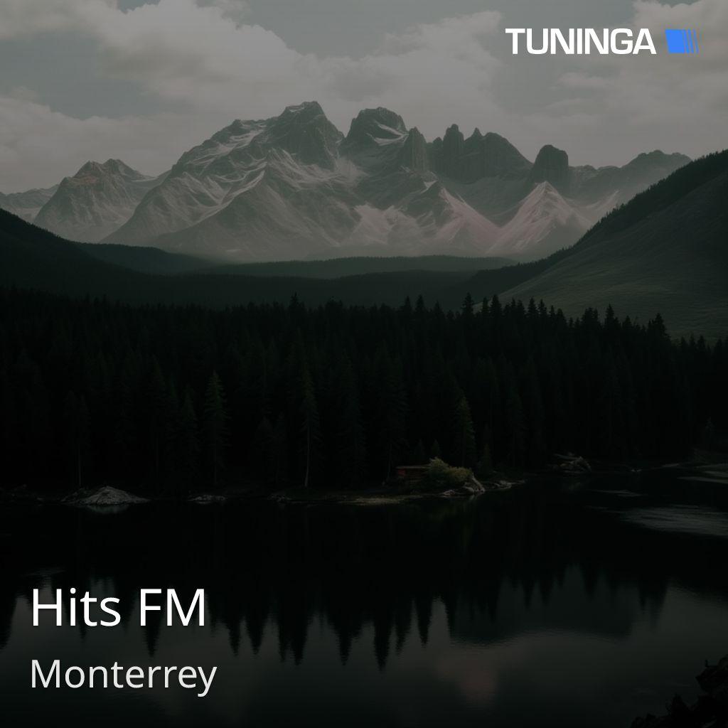 Hits FM