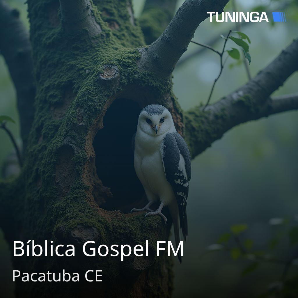 Bíblica Gospel FM