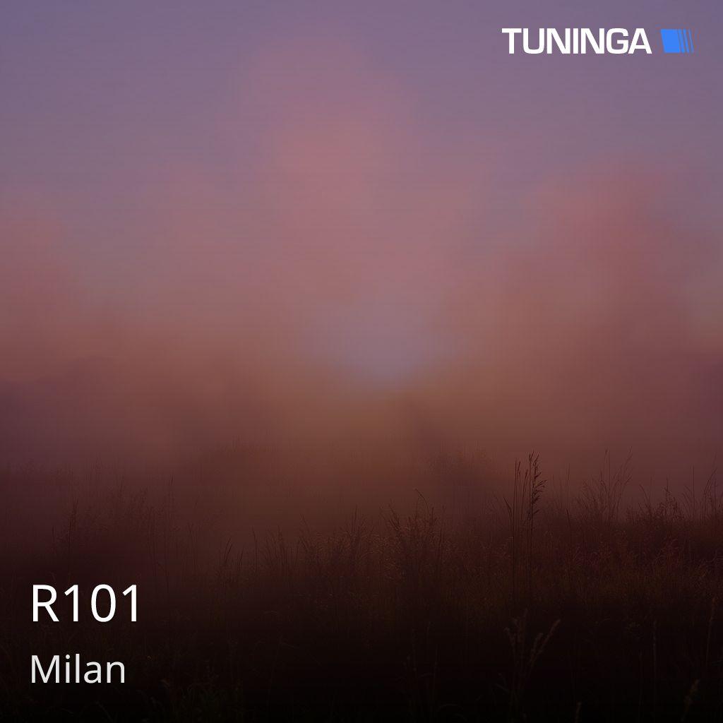 R101