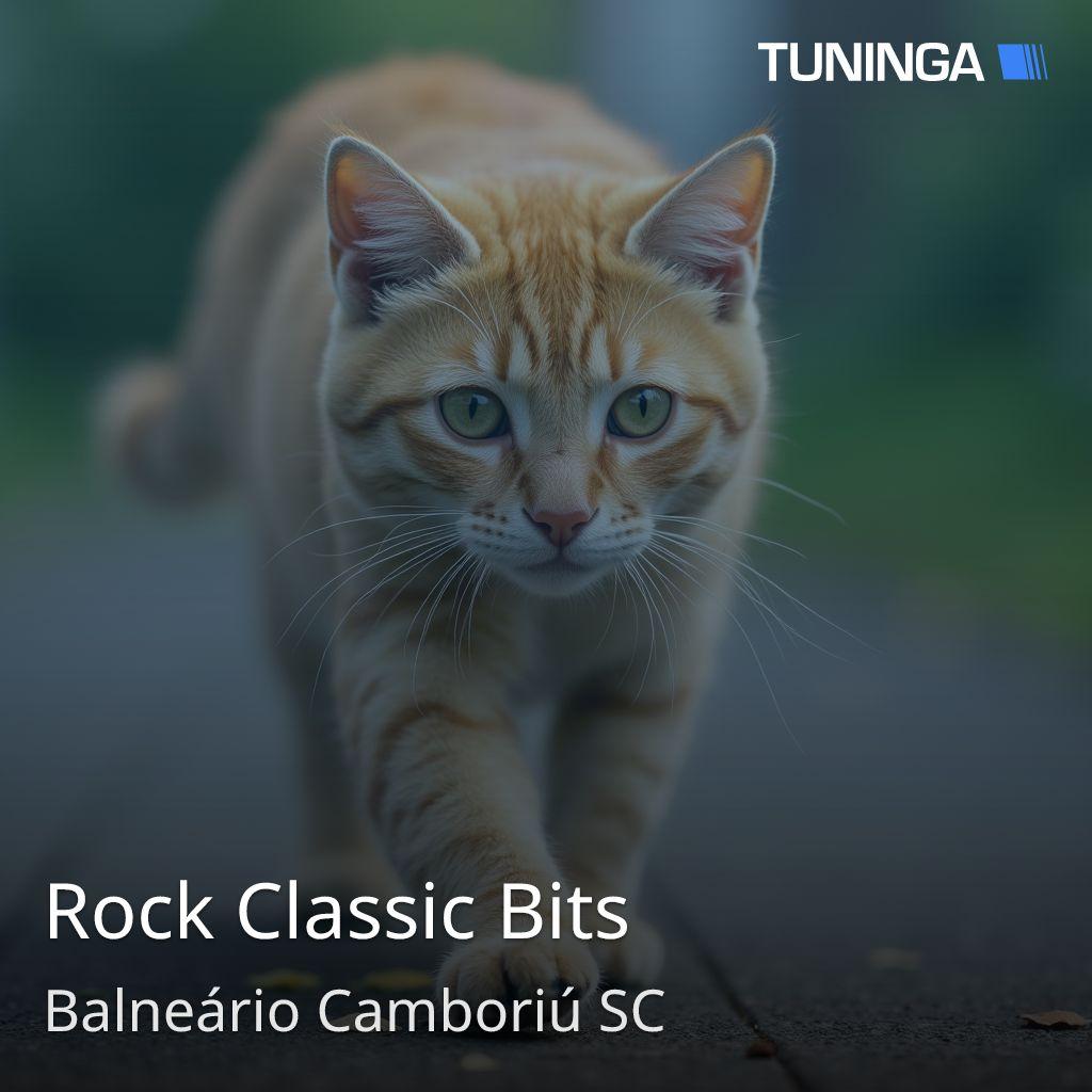 Rock Classic Bits
