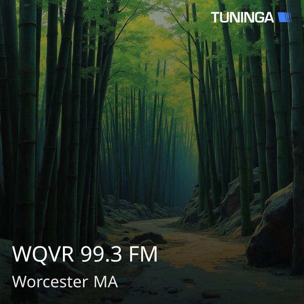WQVR 99.3 FM
