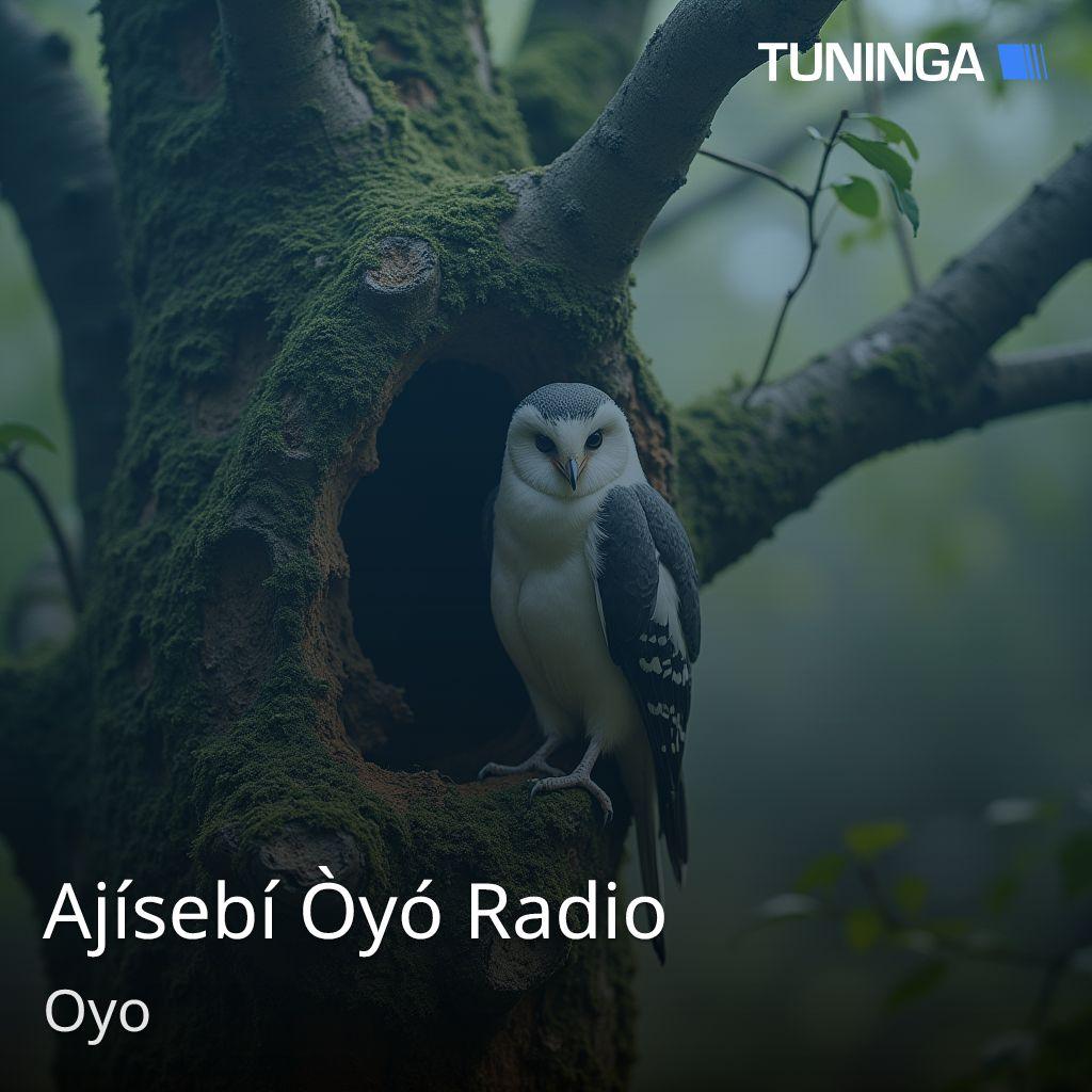 Ajísebí Òyó Radio