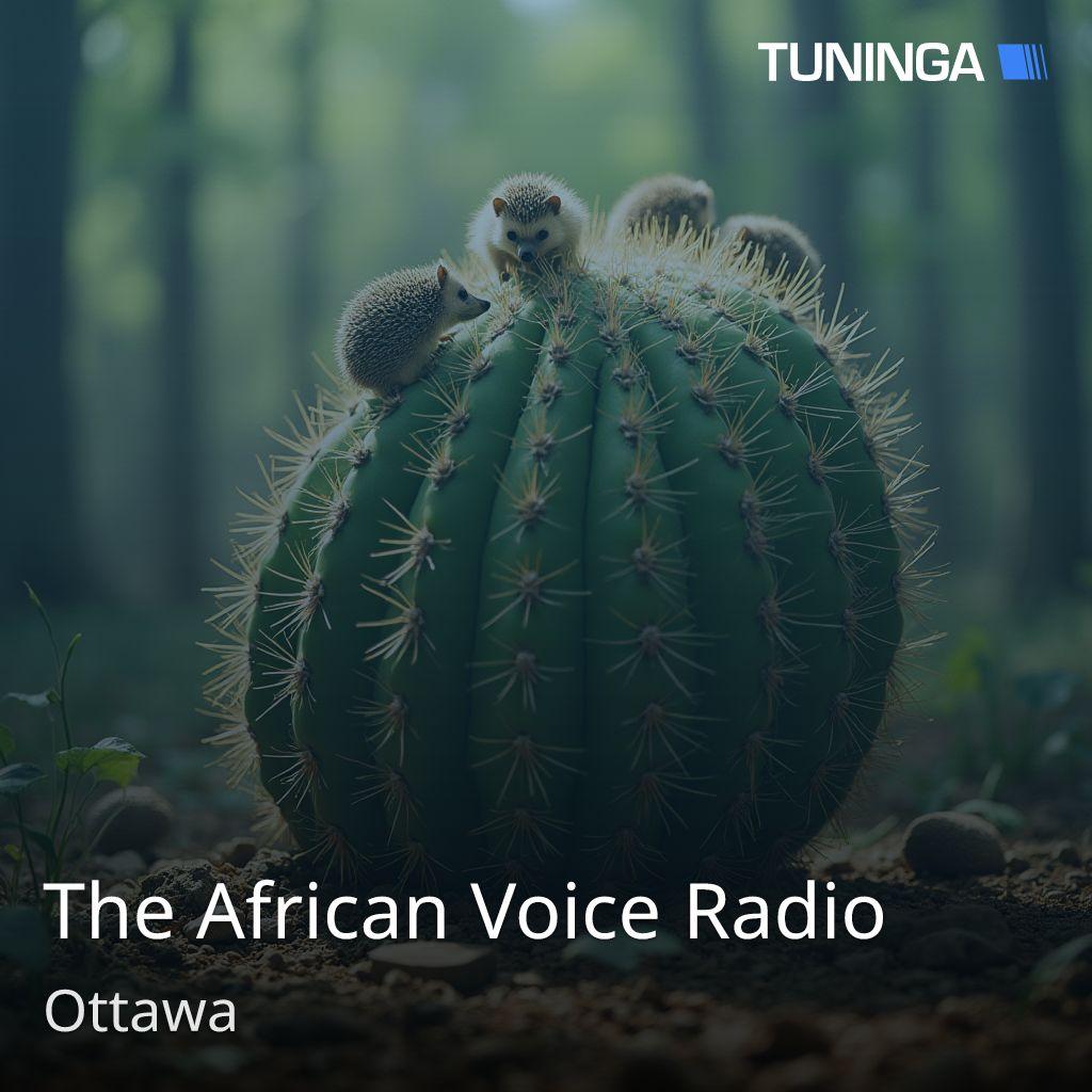 The African Voice Radio