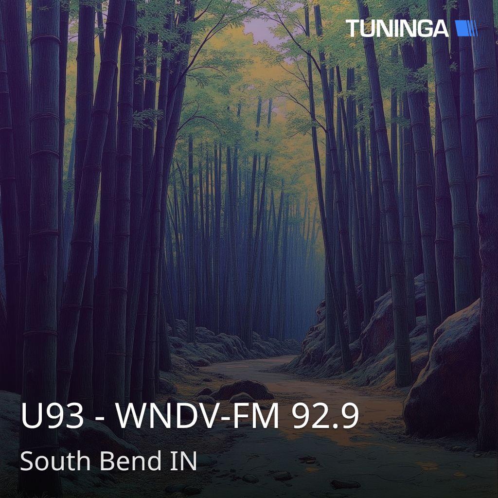 U93 - WNDV-FM 92.9