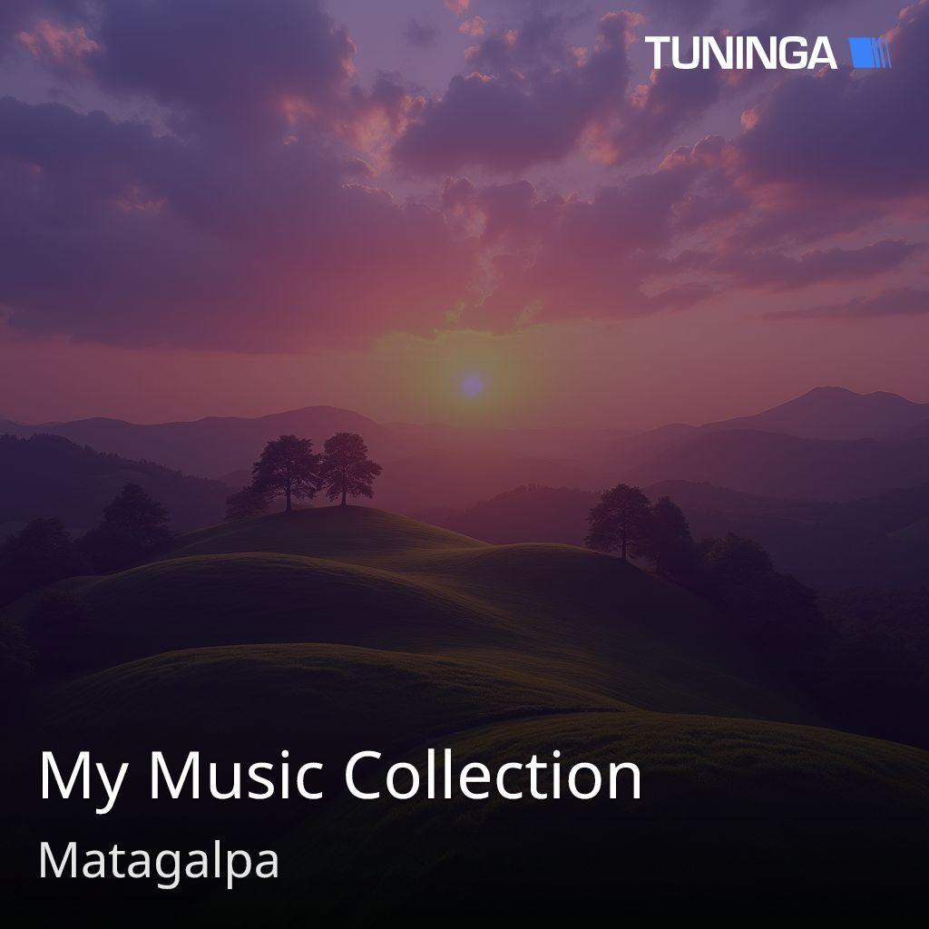 My Music Collection