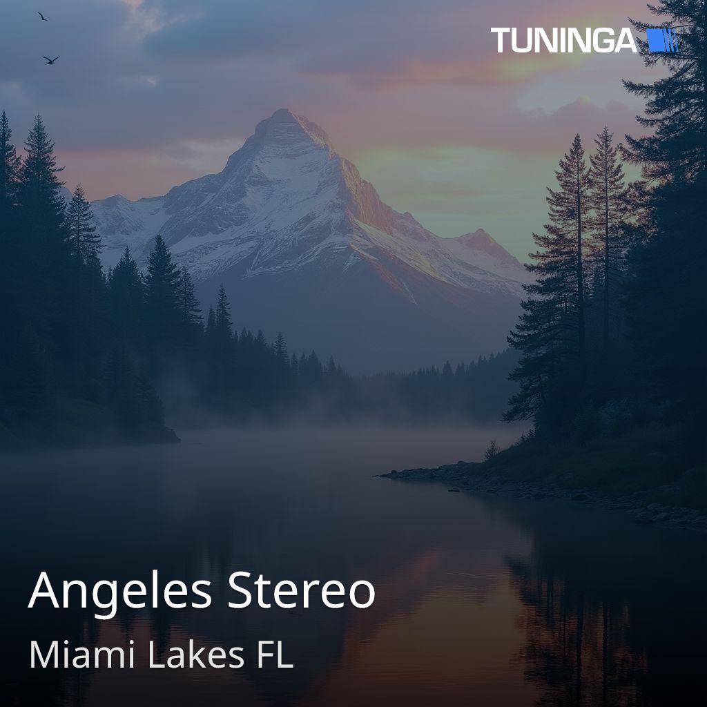 Angeles Stereo