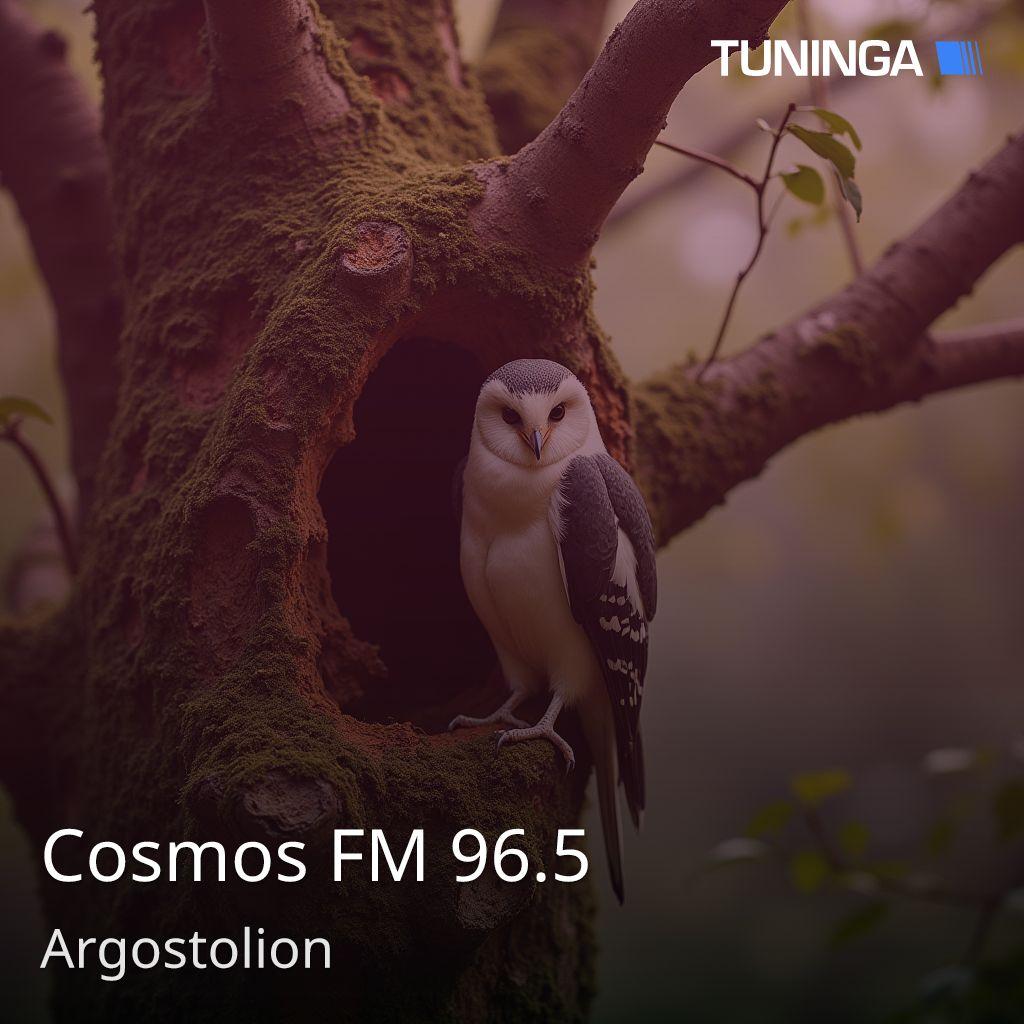 Cosmos FM 96.5