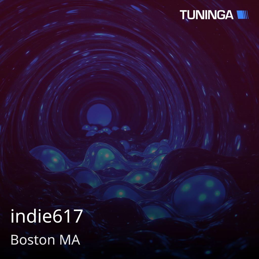 indie617