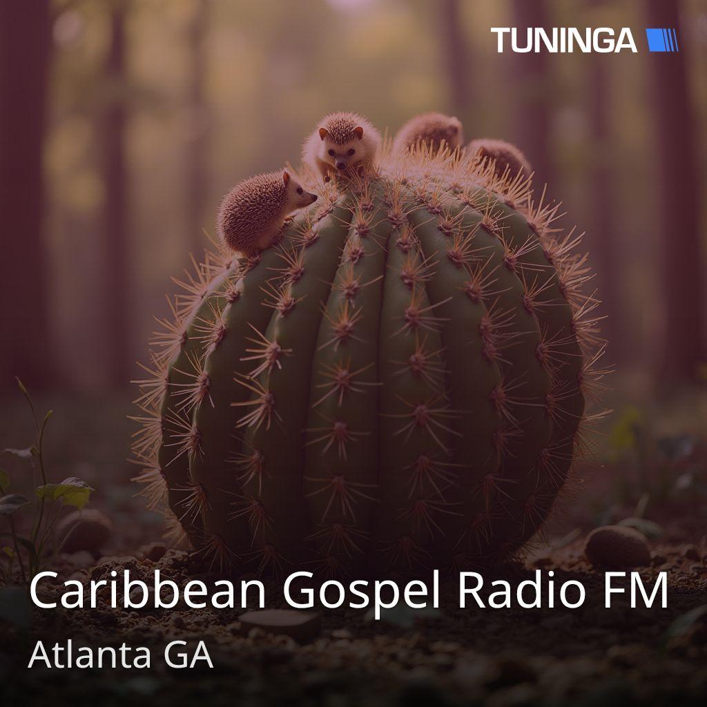 Caribbean Gospel Radio FM