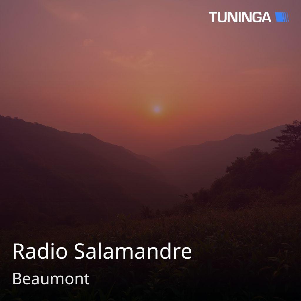 Radio Salamandre