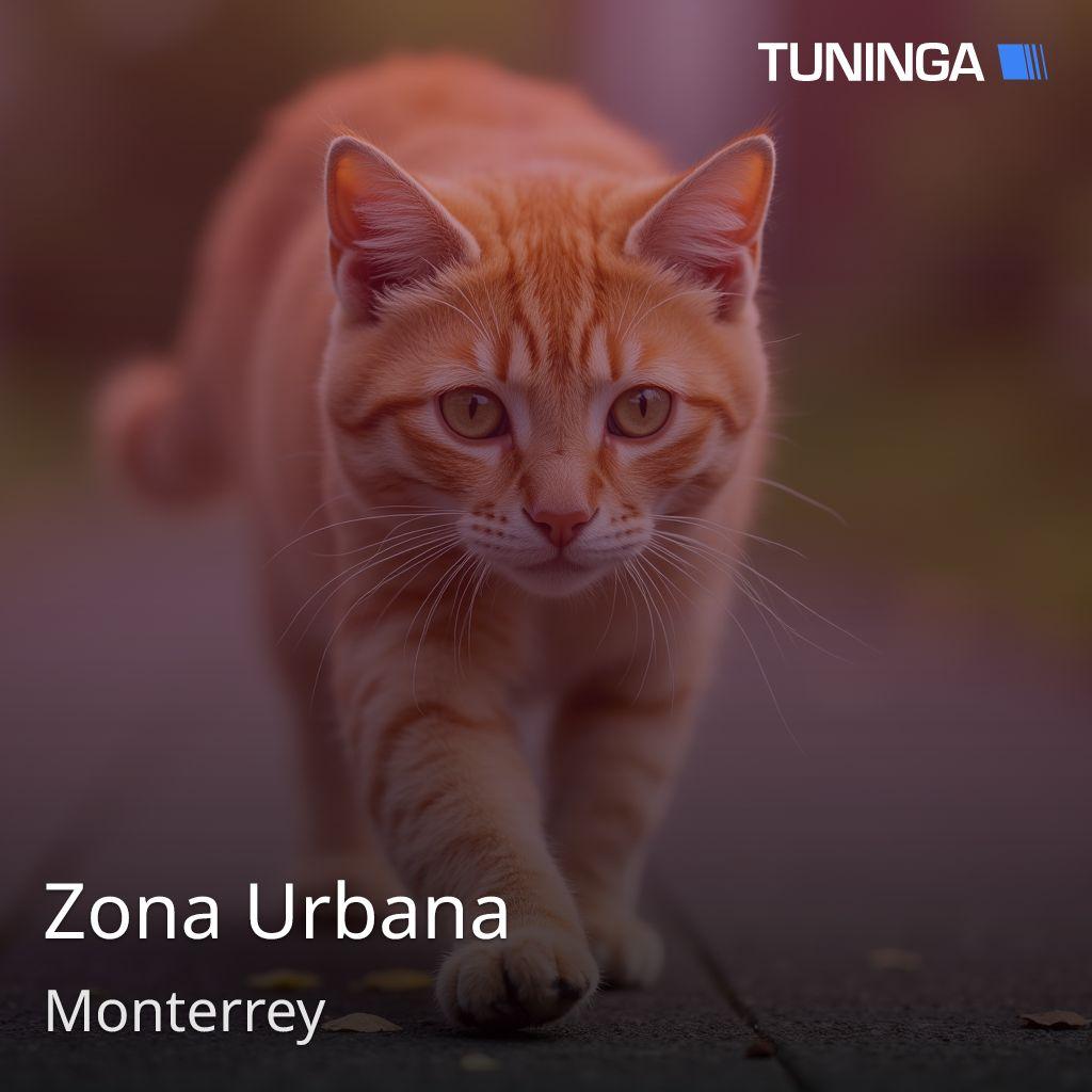 Zona Urbana