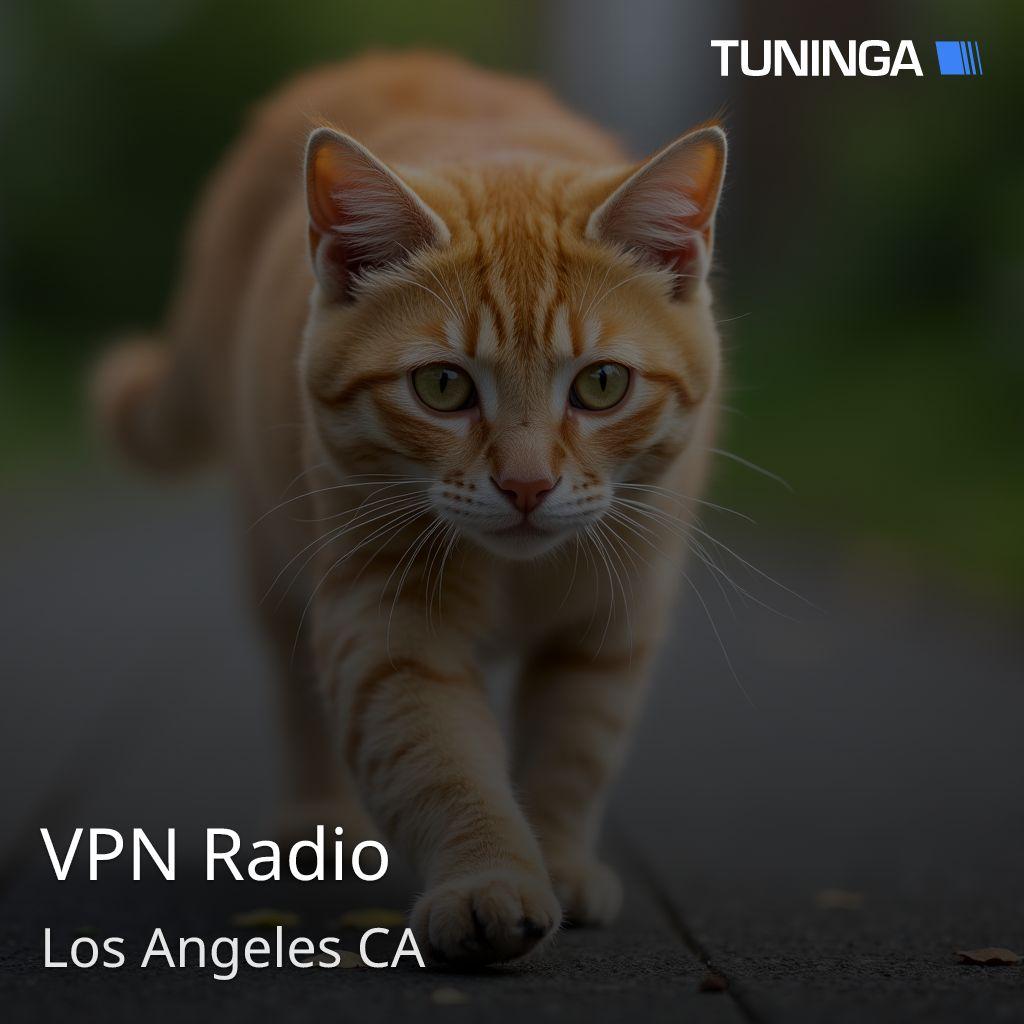 VPN Radio