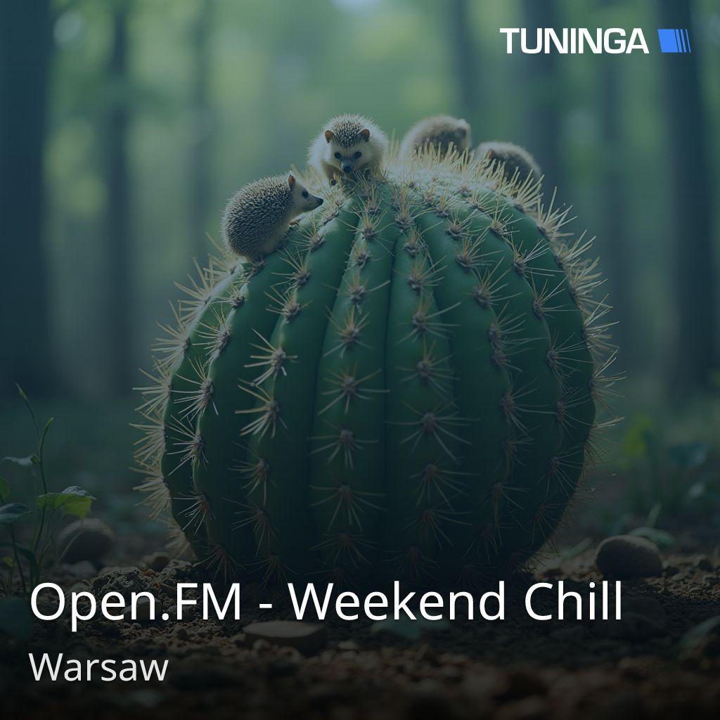 Open.FM - Weekend Chill