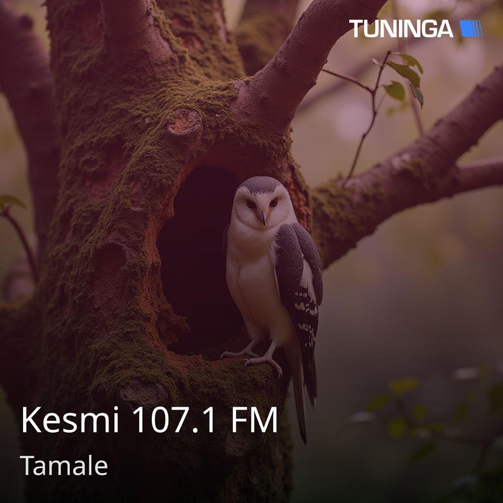 Kesmi 107.1 FM