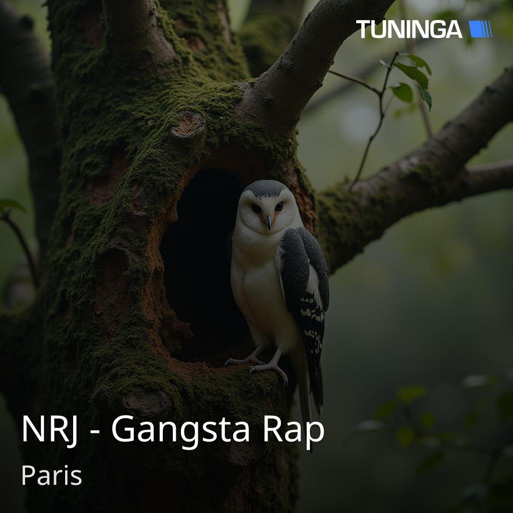 NRJ - Gangsta Rap